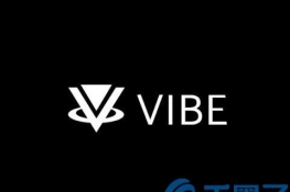 VIBE是什么币？VIBE币官网总量和上线交易所汇总